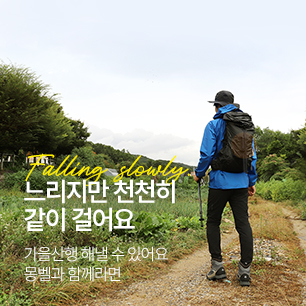 MD Pick : Falling Slowly