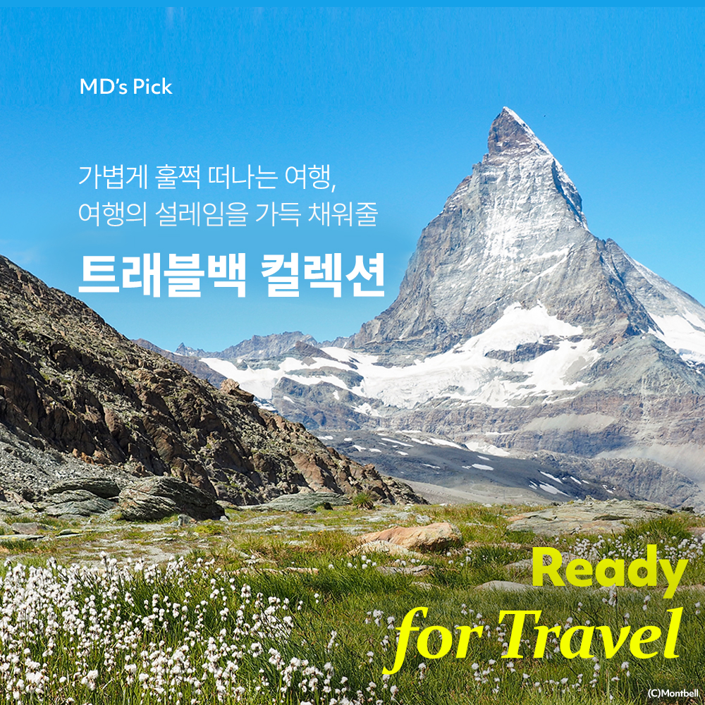 MD Pick ::  READY FOR TRAVEL 트래블백컬렉션