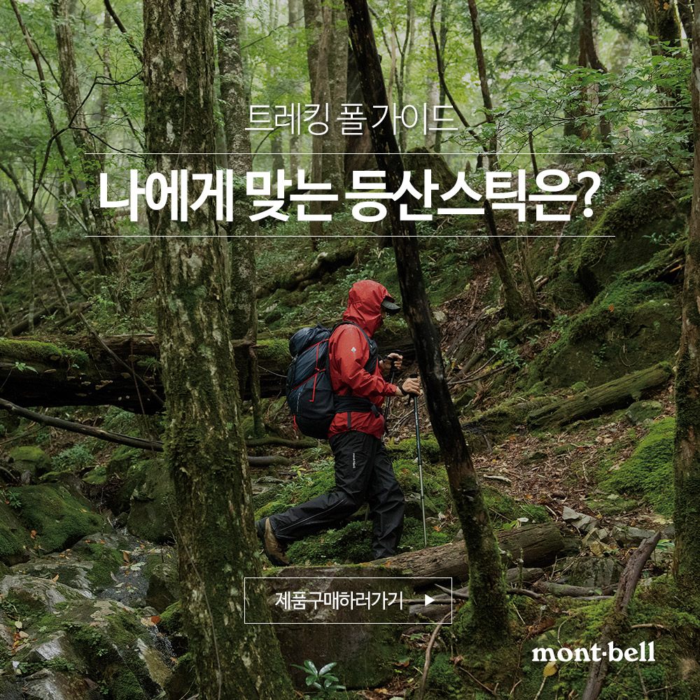 트레킹 폴 가이드, 나에게 맞는 등산스틱은?